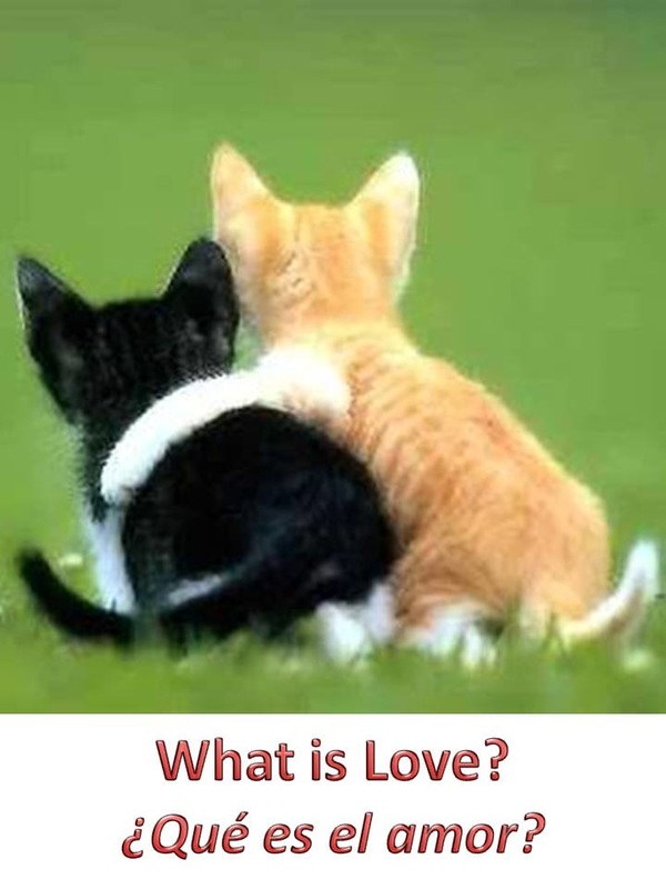 what is love - que es el amor libro epub y mobi