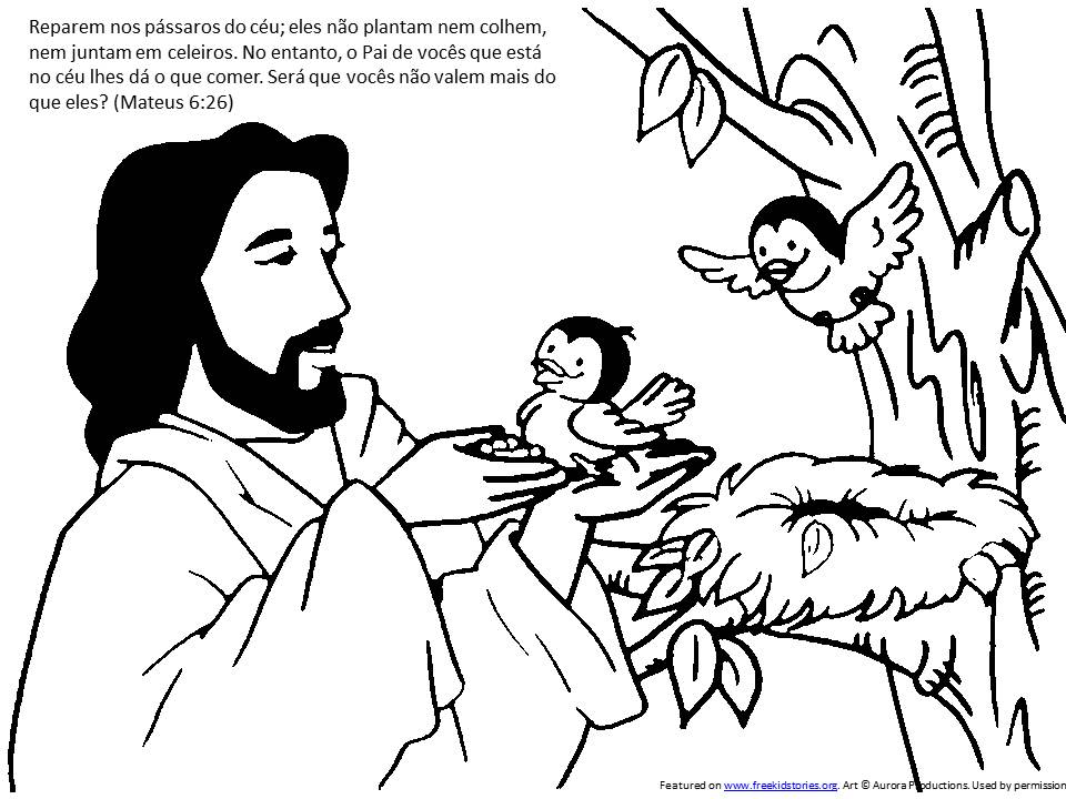 O pardal: páginas para colorir crianças Biblia