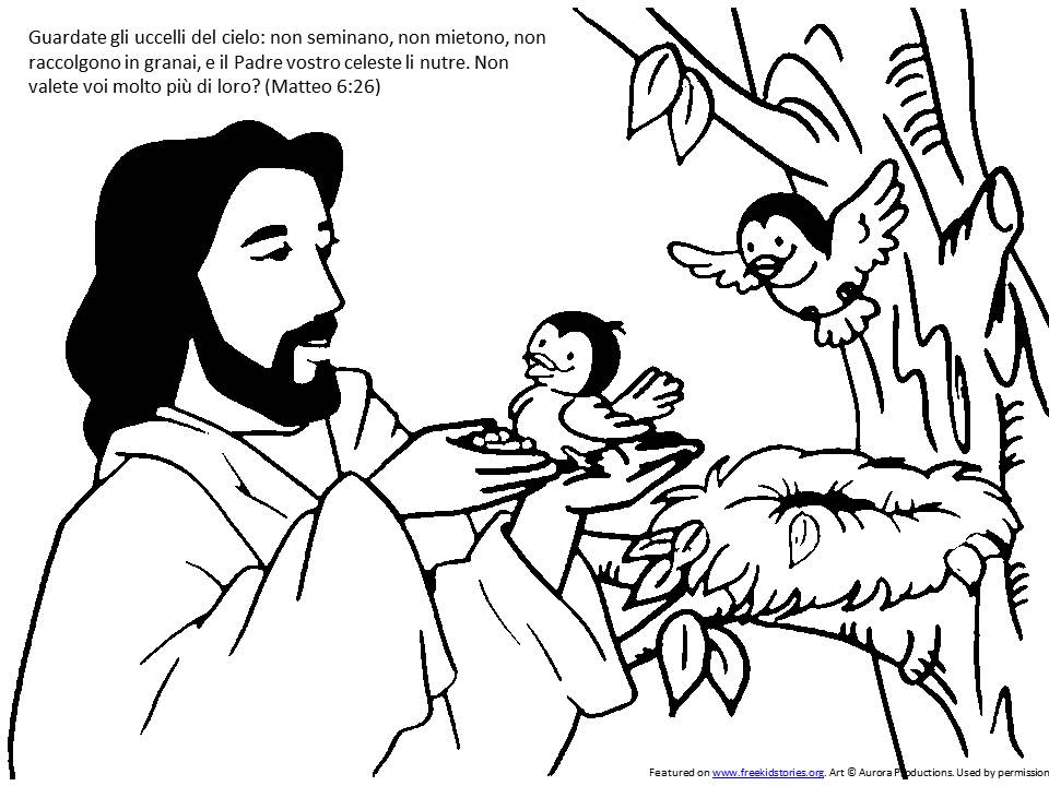 Il passero: pagine da colorare bibbia bambini