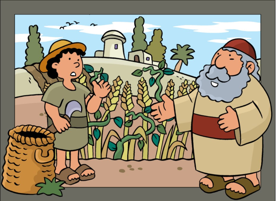  Притча о пшенице и сорняках для детей