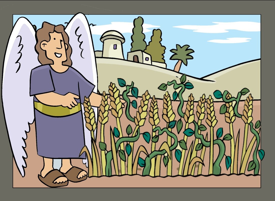  Притча о пшенице и сорняках для детей 2